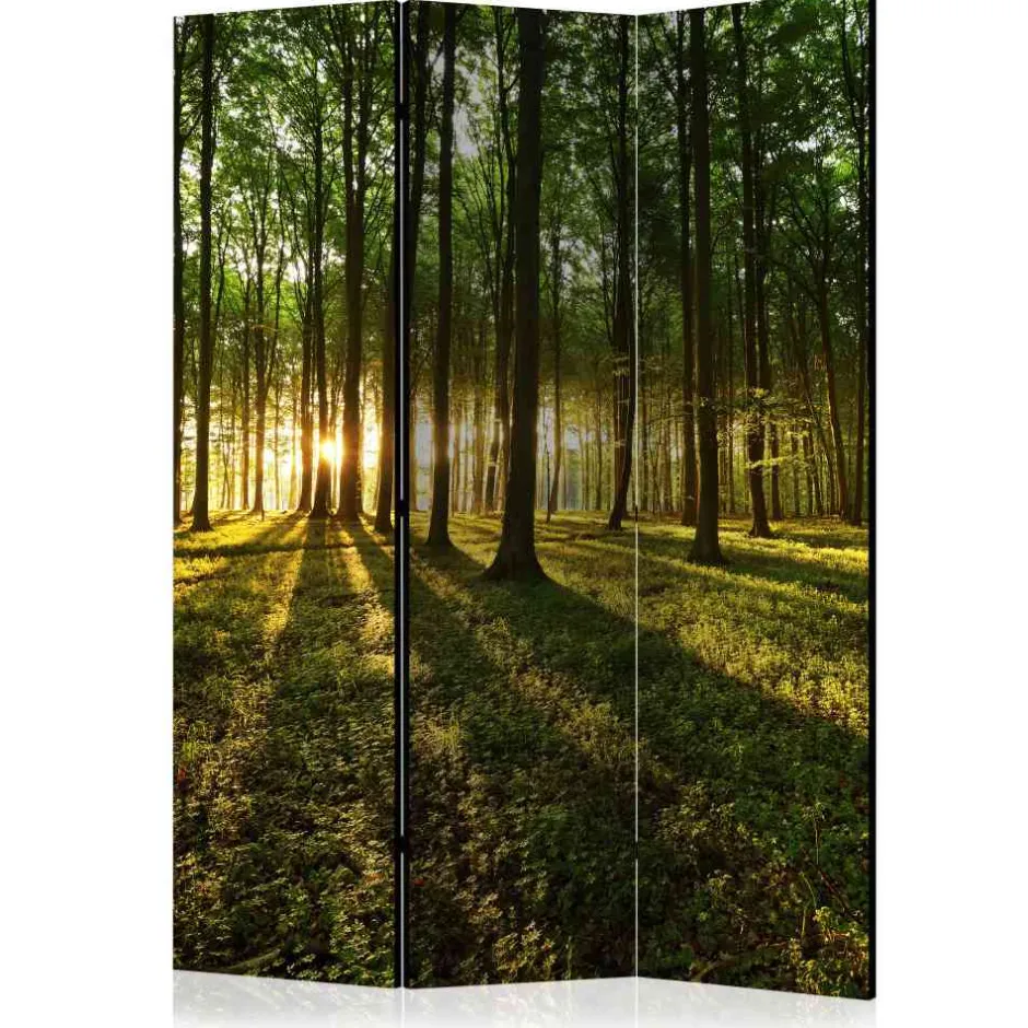 135 cm breiter Raumteiler mit Wald Motiv - Jacopo^Wohnen Outlet