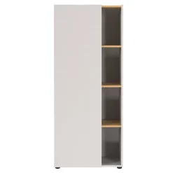 Aktenschrank in Hellgrau und Wildeiche Optik - Chiron^Wohnen Clearance