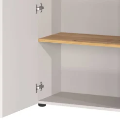 Aktenschrank in Hellgrau und Wildeiche Optik - Chiron^Wohnen Clearance