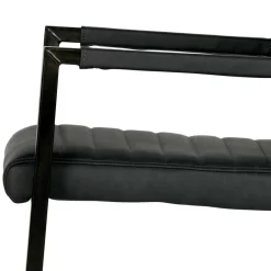 Armlehnen Freischwinger in Anthrazit - Birte (2er Set)^Wohnen Clearance