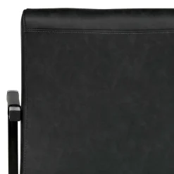 Armlehnen Freischwinger in Anthrazit - Birte (2er Set)^Wohnen Clearance