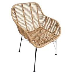 Armlehnen Rattanstuhl in Natur - Landhuis (2er Set)^Wohnen