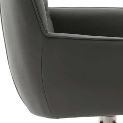 Wohnen Armlehnenstuhl in Anthrazit Leder - Carbonaro (2er Set)