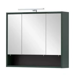 Bad Spiegelschrank in Dunkelgrün - Aqua^Wohnen Discount