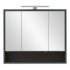 Bad Spiegelschrank in Dunkelgrün - Aqua^Wohnen Discount