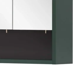 Bad Spiegelschrank in Dunkelgrün - Aqua^Wohnen Discount