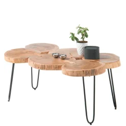 Wohnen Baumscheiben Wohnzimmertisch mit Haarnadel Beinen - Ranuves