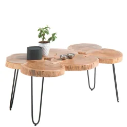 Wohnen Baumscheiben Wohnzimmertisch mit Haarnadel Beinen - Ranuves