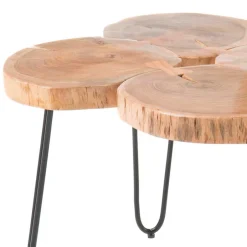 Wohnen Baumscheiben Wohnzimmertisch mit Haarnadel Beinen - Ranuves