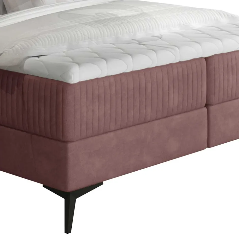 Boxbett mit Matratzen in Rosenholz Velours - Serves^Wohnen New