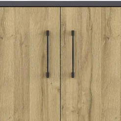 Wohnen Büroschrank in Wildeiche NB & Dunkelgrau - Disgano I