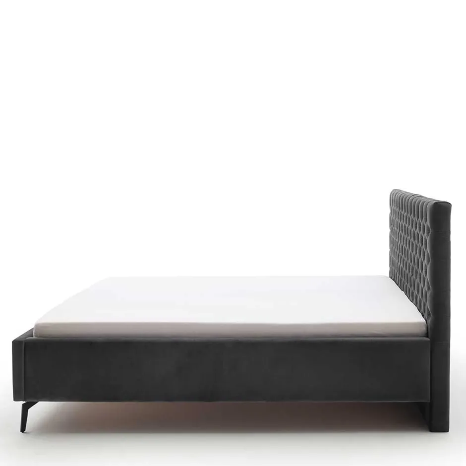 Chesterfield Samtbett in Anthrazit - Satos^Wohnen Outlet