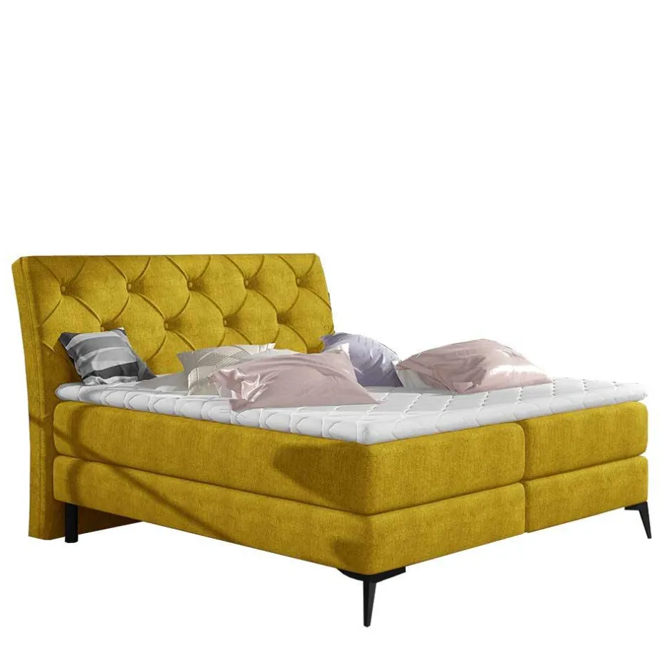 Chesterfieldbett in Currygelb Stoff - Friscura^Wohnen