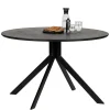 Wohnen 120cm runder Küchentisch in Schwarz - Alberus