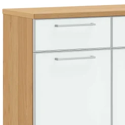 Wohnen Design Schuhschrank Wynoca in Weiß Glas