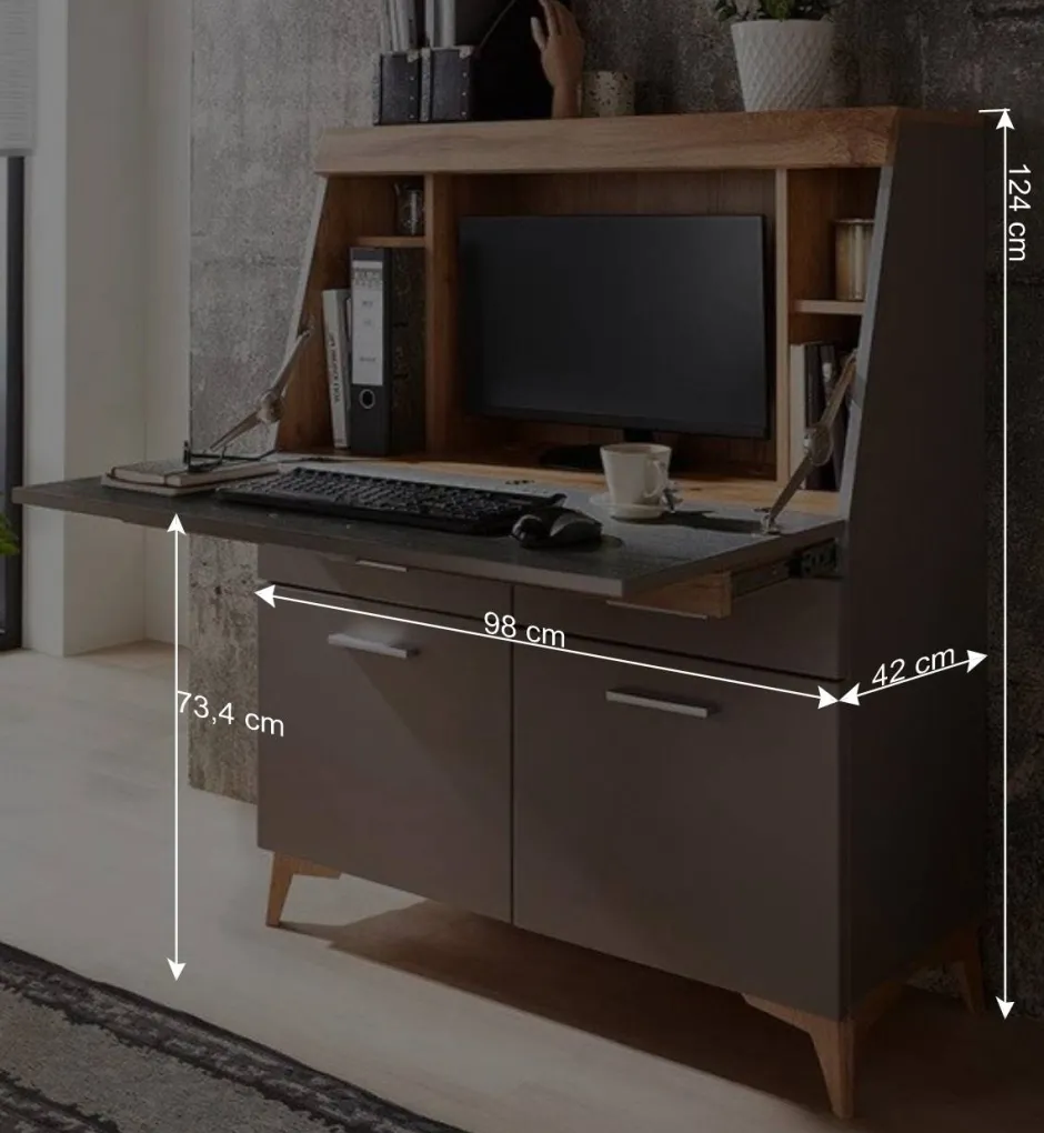 Wohnen Design Sekretär in Grau & Eiche NB - Zella
