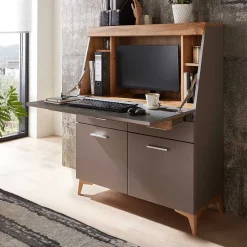Wohnen Design Sekretär in Grau & Eiche NB - Zella