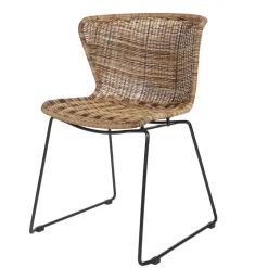 Wohnen Design Stuhl Mevrinus aus Polyrattan (2er Set)