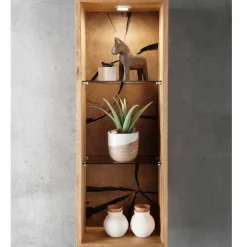 Design Wandregal mit zwei Glasböden - Acapella^Wohnen