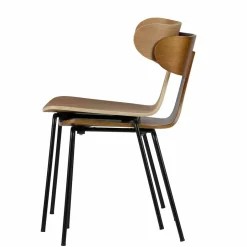 Wohnen Designerstuhl Set Anoria stapelbar (2er Set)