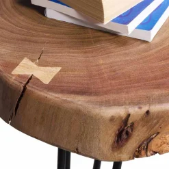 Wohnen Designertisch Lariona mit Baumscheibe und Metall-Gestell