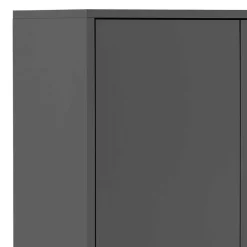 Doppeltür-Aktenschrank in Anthrazit - Brasova^Wohnen Sale