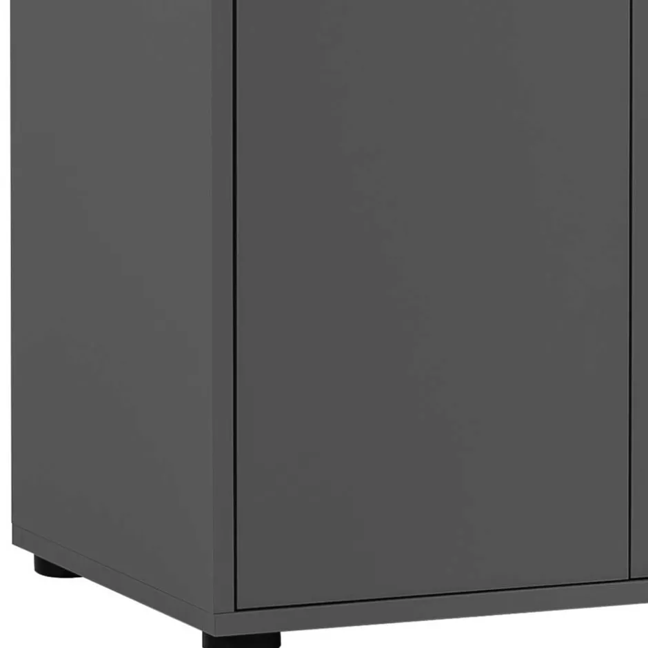 Doppeltür-Aktenschrank in Anthrazit - Brasova^Wohnen Sale