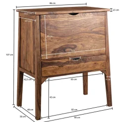 Edler Barschrank aus Sheesham Massivholz - Finaly^Wohnen New