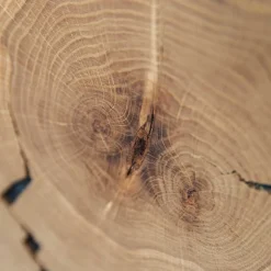 Eichenholz Highboard mit Hirnholz Applikation - Deruta^Wohnen Best