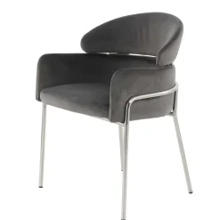 Wohnen Eleganter Armlehnstuhl in Grau & Silber - Ecolosia