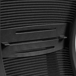 Ergonomischer Bürostuhl mit hoher Lehne in Schwarz - Delavidu^Wohnen Discount