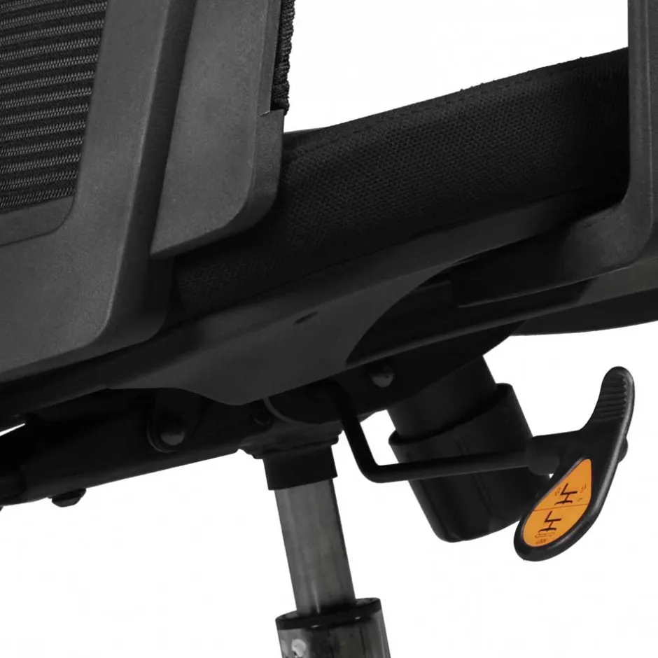 Ergonomischer Bürostuhl mit hoher Lehne in Schwarz - Delavidu^Wohnen Discount