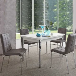 Esszimmer Sitzgruppe in Grau & Weiß Sisela mit Kunstleder Stühlen (fünfteilig)^Wohnen New