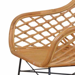 Wohnen Esszimmerstuhl Ionella aus Rattan