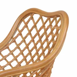 Wohnen Esszimmerstuhl Ionella aus Rattan