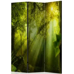 Wohnen Faltbarer Paravent Wald & Sonne - Pulany
