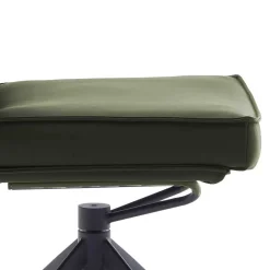 Federkern Lederstühle in Oliv Grün - Synfrunia (2er Set)^Wohnen Outlet