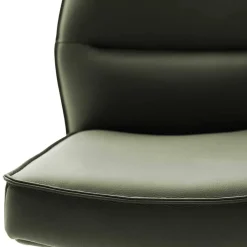 Federkern Lederstühle in Oliv Grün - Synfrunia (2er Set)^Wohnen Outlet