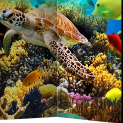 Kinder Wohnen Foto Paravent Riff Bewohner & Trauminsel - Tarantro