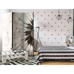 Foto Trennwand Nahaufnahme Pusteblume - Apulca^Wohnen Hot