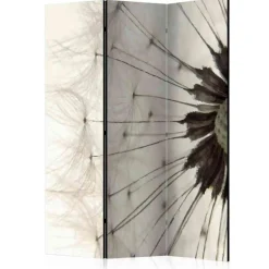 Foto Trennwand Nahaufnahme Pusteblume - Apulca^Wohnen Hot