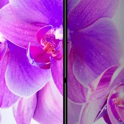 Fotodruck Leinwand Paravent mit Orchideen - Casper^Wohnen Outlet