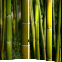 Wohnen Fotodruck Paravent Bambus Halme & Blätter - Lecodas