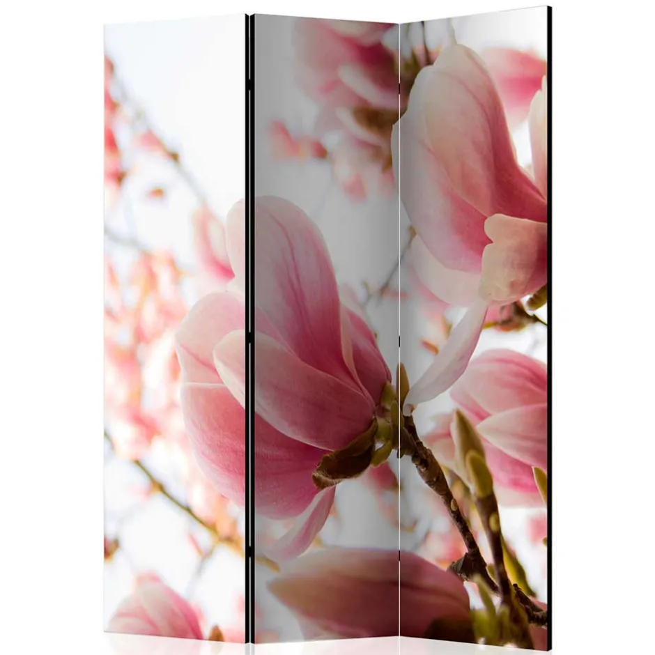 Fotodruck Paravent mit Motiv Pinke Magnolien - Amuting^Wohnen Online