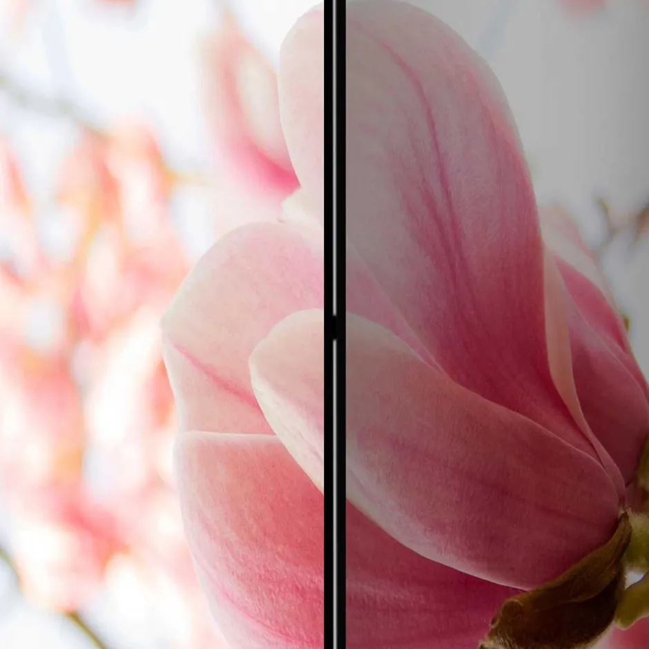 Fotodruck Paravent mit Motiv Pinke Magnolien - Amuting^Wohnen Online