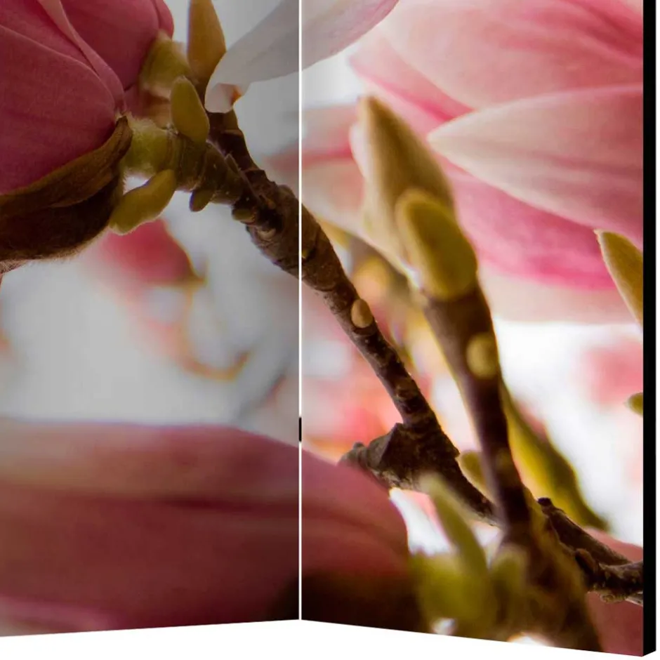 Fotodruck Paravent mit Motiv Pinke Magnolien - Amuting^Wohnen Online