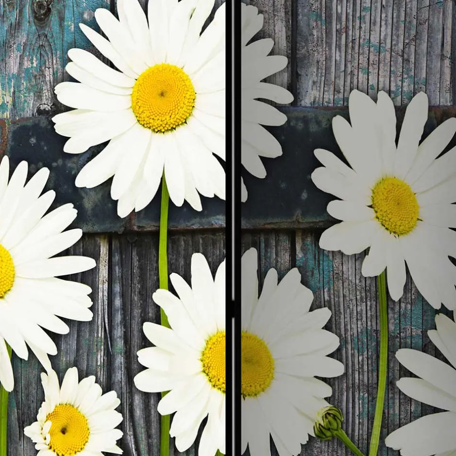 Fotodruck Trennwand mit Margheriten Motiv - Badehma^Wohnen Discount