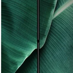 Wohnen Fotomotiv Paravent mit Close Up Bananenblätter - Yanicol