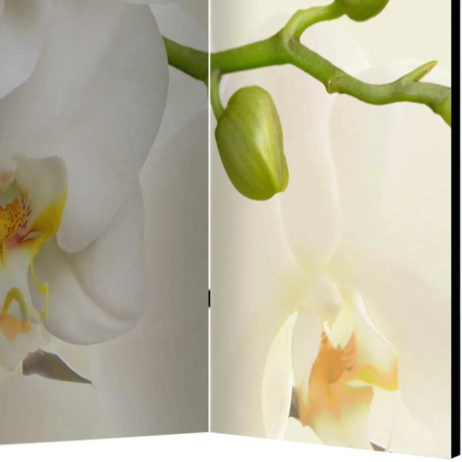 Fotoprint Leinwand Paravent Weiße Orchideen - Aury^Wohnen Outlet