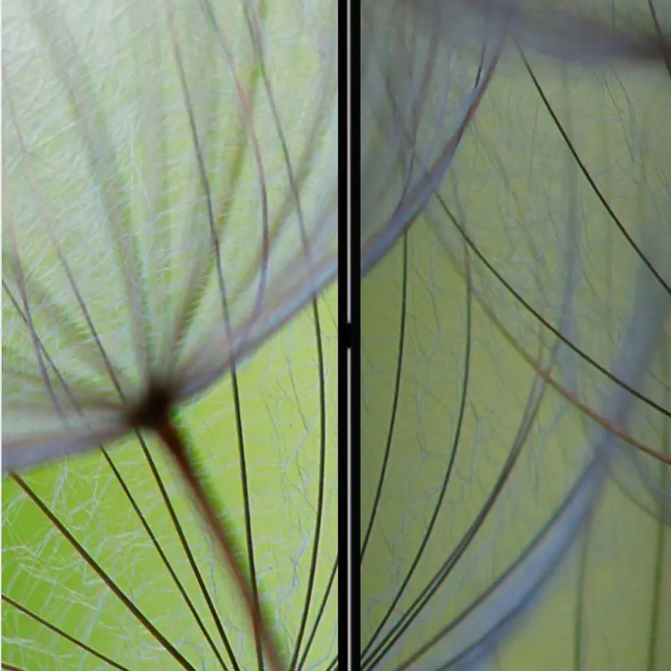 Fotoprint Paravent Close Up Pusteblume - Shalima^Wohnen Clearance
